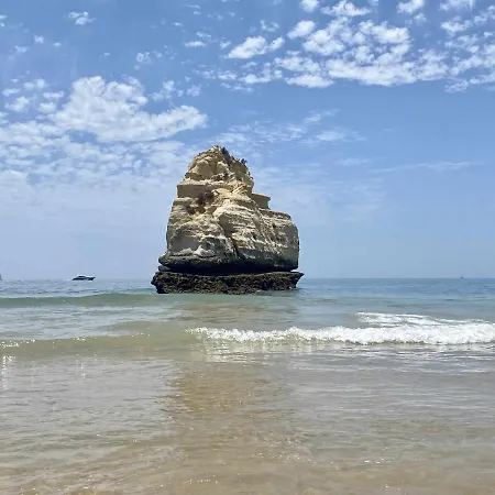 Vista Mar Da Rocha Apartment